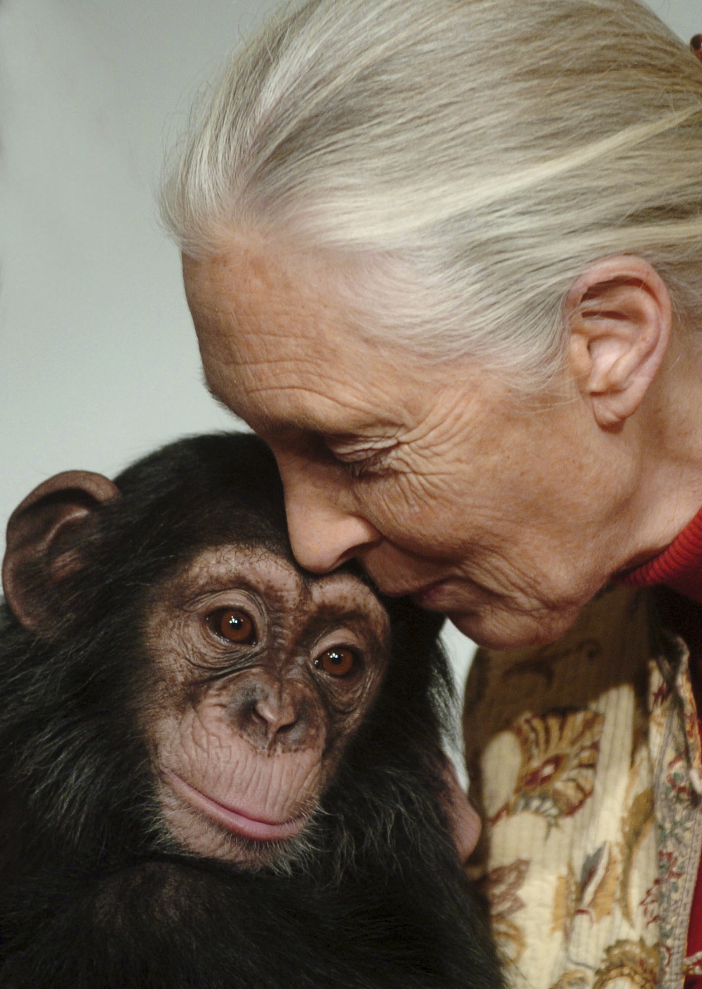 Primatologist Jane Goodall kisses a chimpanzee baby on Dec. 20, 2004.
